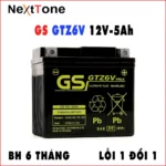 GTZ6V